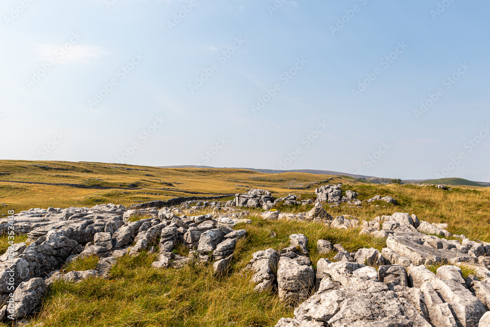 stone in the field stone in the field
