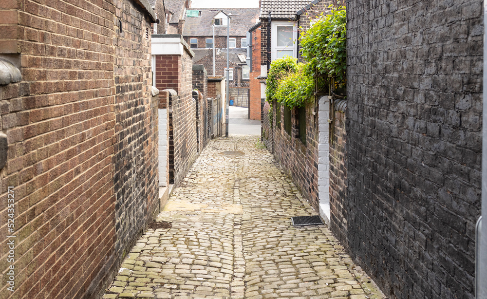  A cobbled back street between terrace housing, back gates and outside loos