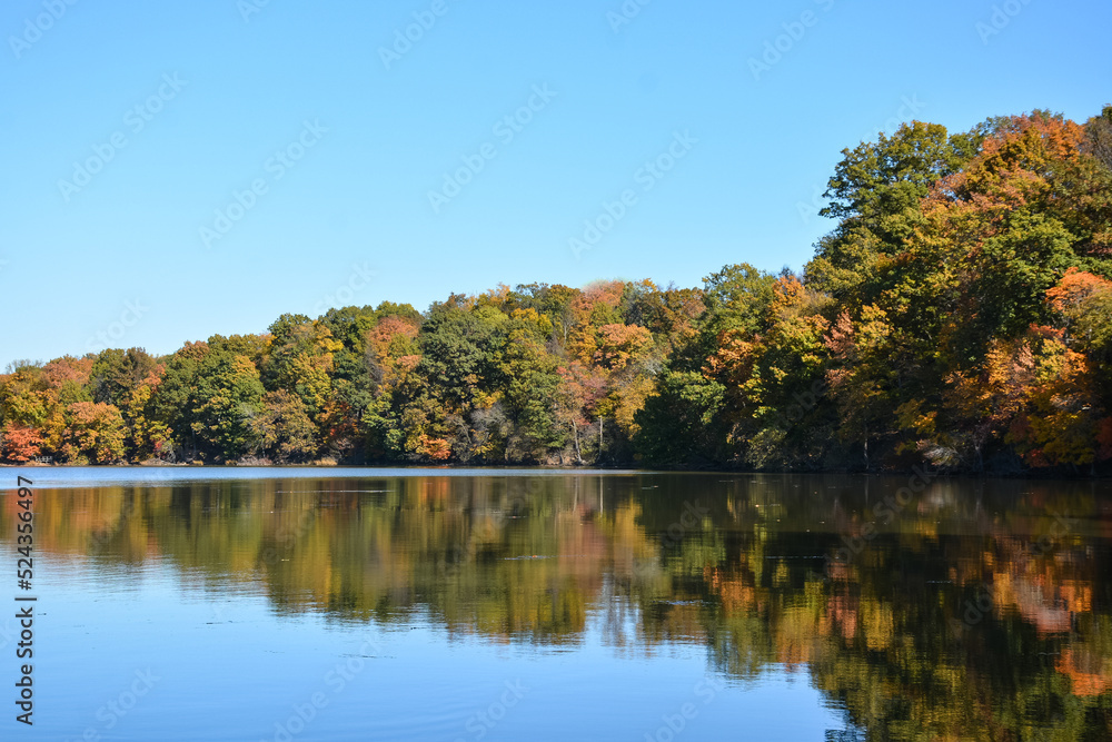 Fall along the bay