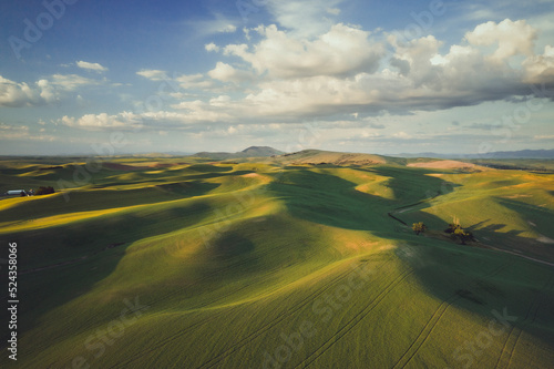 Green hills from above, Palouse, Eastern Washington