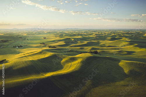 Green hills from above, Palouse, Eastern Washington photo