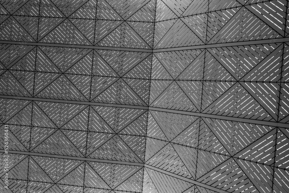 Gray Tones Ceiling in Black and White.