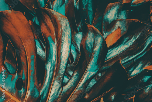 abstract background orange and green flowers of tropical leaves. Seamless border, premium mural. Monstera floral pattern on dark background. Modern stylish design