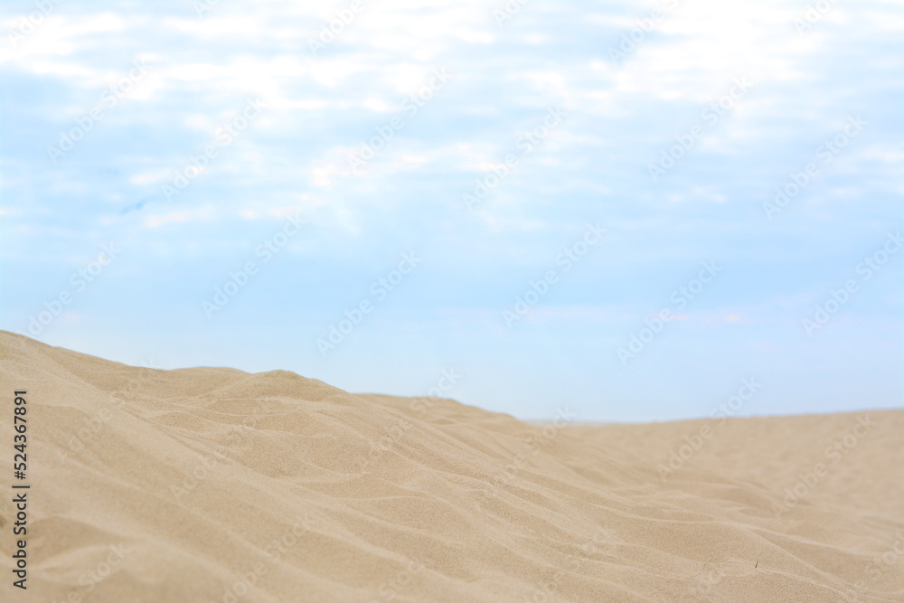 Beautiful view of sandy beach on summer day Beautiful view of sandy beach on summer day