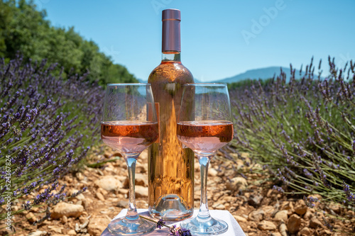 Lavender flowers fields in blossom near Valensole in Provence and glass and bottle of rose wine in sunny day  summer vacation in Provence  France