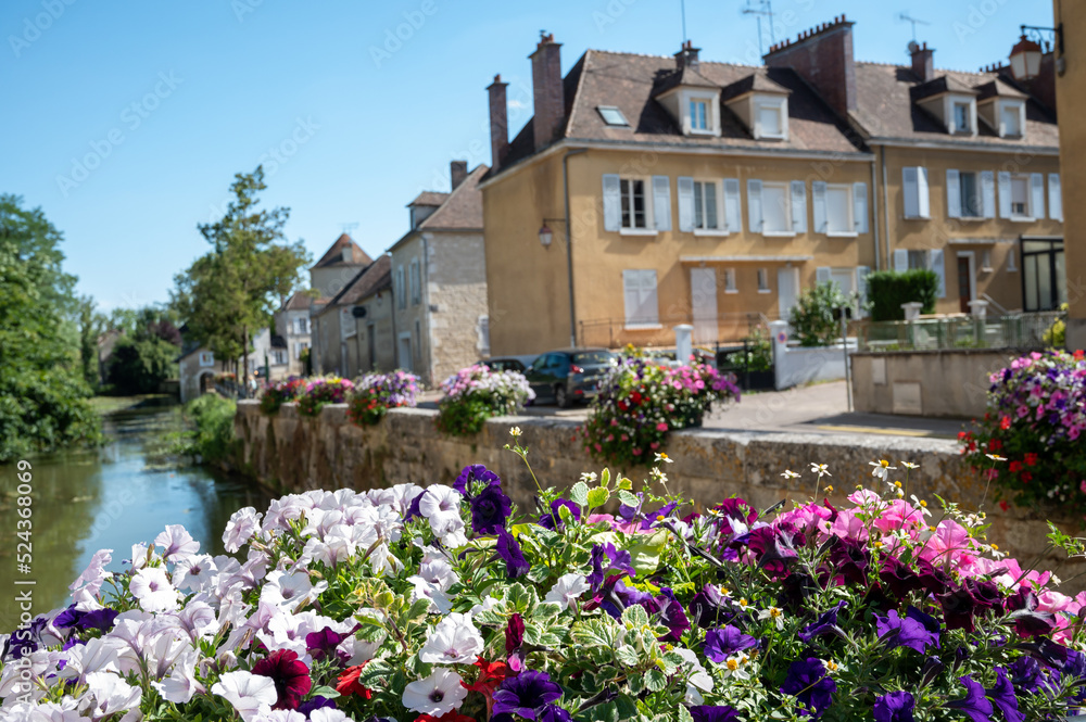 North of Burgundy wine making region, walking in Chablis village with famous white dry wine made from Chardonnay grape, wine tour in France North of Burgundy wine making region, walking in Chablis village with famous white dry wine made from Chardonnay grape, wine tour in France