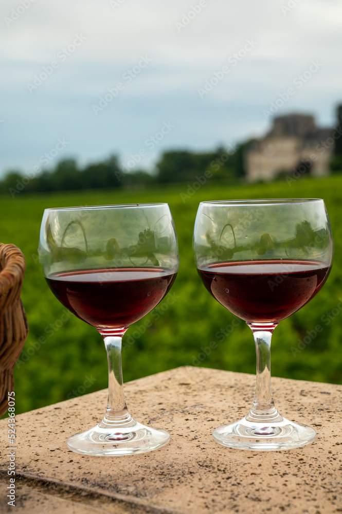 Tasting of red dry pinot noir wine in glass on premier and grand cru vineyards in Burgundy wine making region near Vosne-Romanée village, France