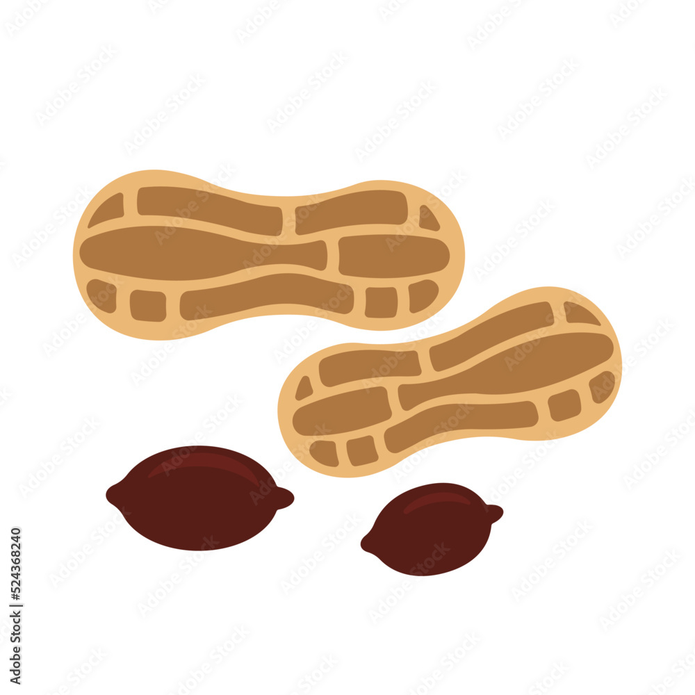 Peanut icon. Flat design illustration. Peanut icon. Flat design illustration.