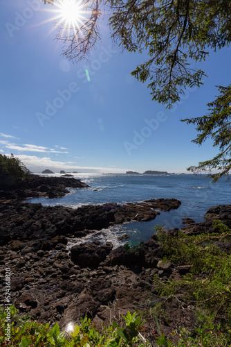 Trees and bushes overlooking Rocky Coast and Ocean. Ancient Cedars Loop Trail. Ucluelet, British Columbia, Canada. Adventure Travel.