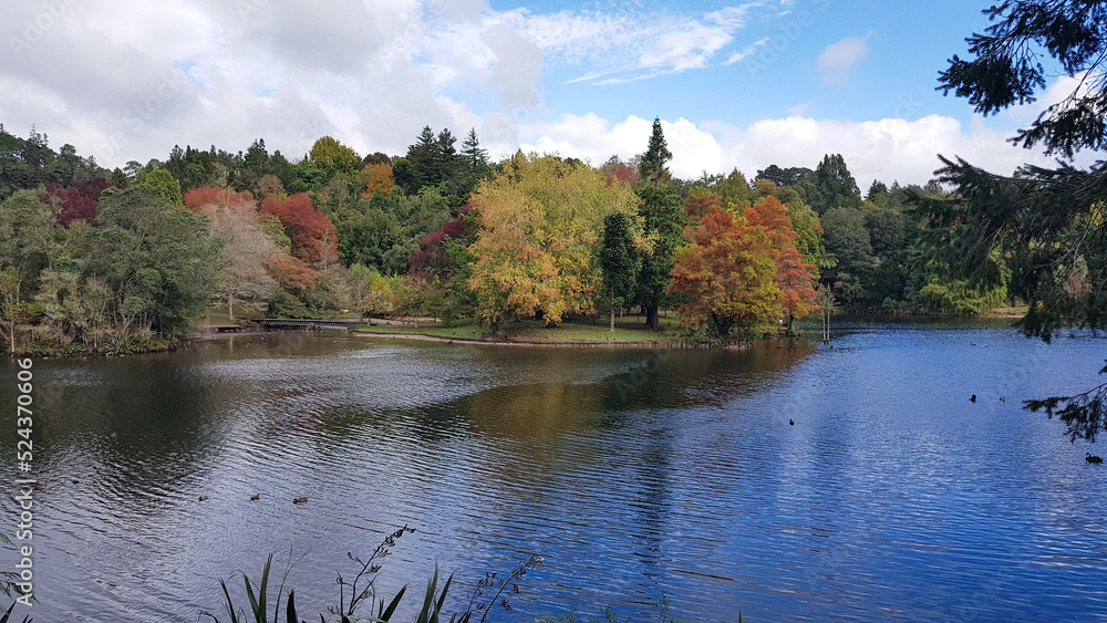 McLaren Falls Park in autumn colors, New Zealand