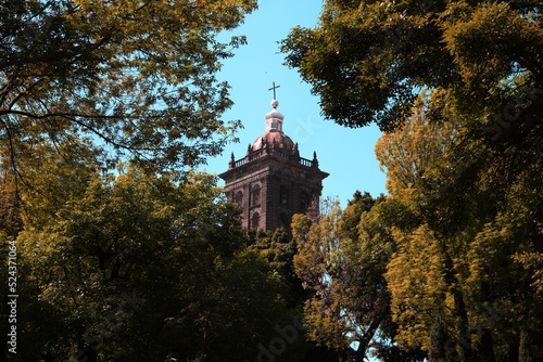 Torre de Iglesia en México enmarcada por árboles