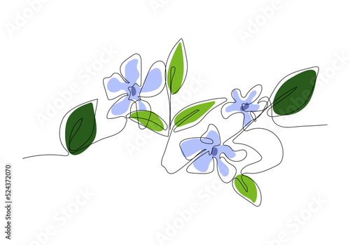 Continuous one line drawing of periwinkle. Vector illustration on isolated background.