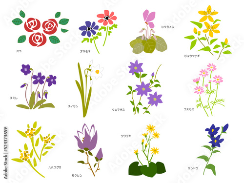 いろいろな花のイラストセット