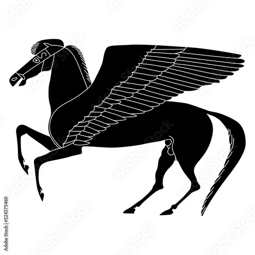 Fototapeta Ancient Greek winged horse Pegasus