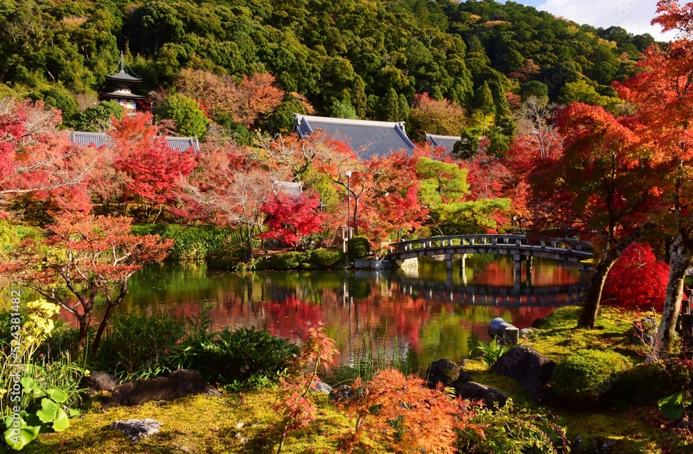 Fototapeta premium 秋の京都・紅葉の醍醐寺