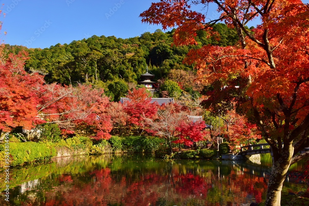 Obraz premium 秋の京都・紅葉の醍醐寺