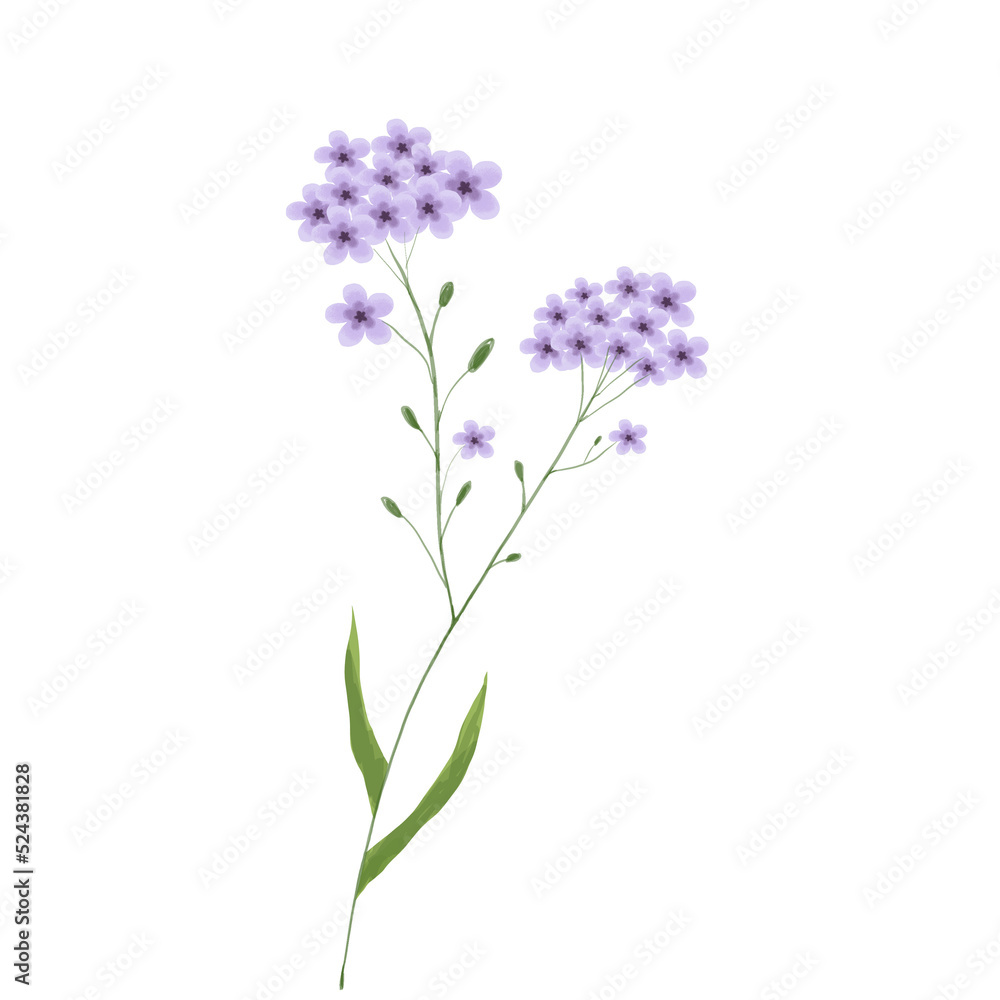 Naklejka premium Colorful flower watercolor floral bouquet Png, Wildflowers Spring with Wreaths on Transparent background Png