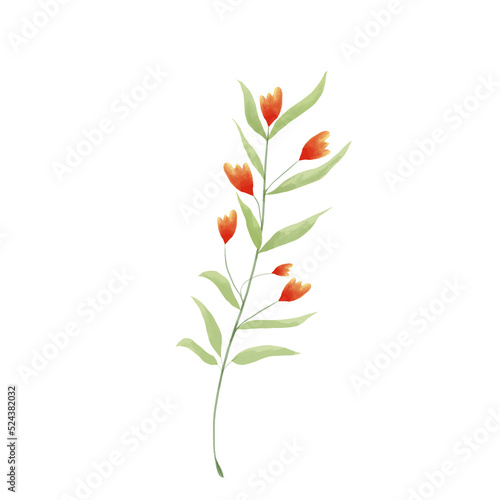 Colorful flower watercolor floral bouquet Png  Wildflowers Spring with Wreaths on Transparent background Png