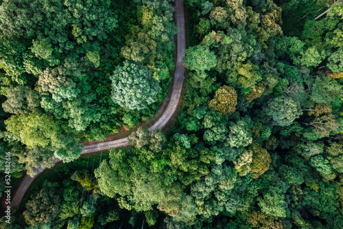 Aerial view road through green forest © artrachen
