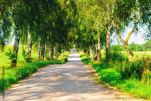 Summer Empty Country Road With Trees Beside.Landscape Concept. Long gravel road in summer nature landscape.