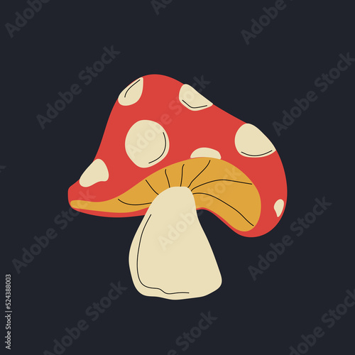 Amanita muscaria, fly agaric mushroom vintage style drawing vector illustration