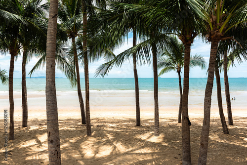 Tropical beach with coconut palm tree  Pattaya city  Thailand.