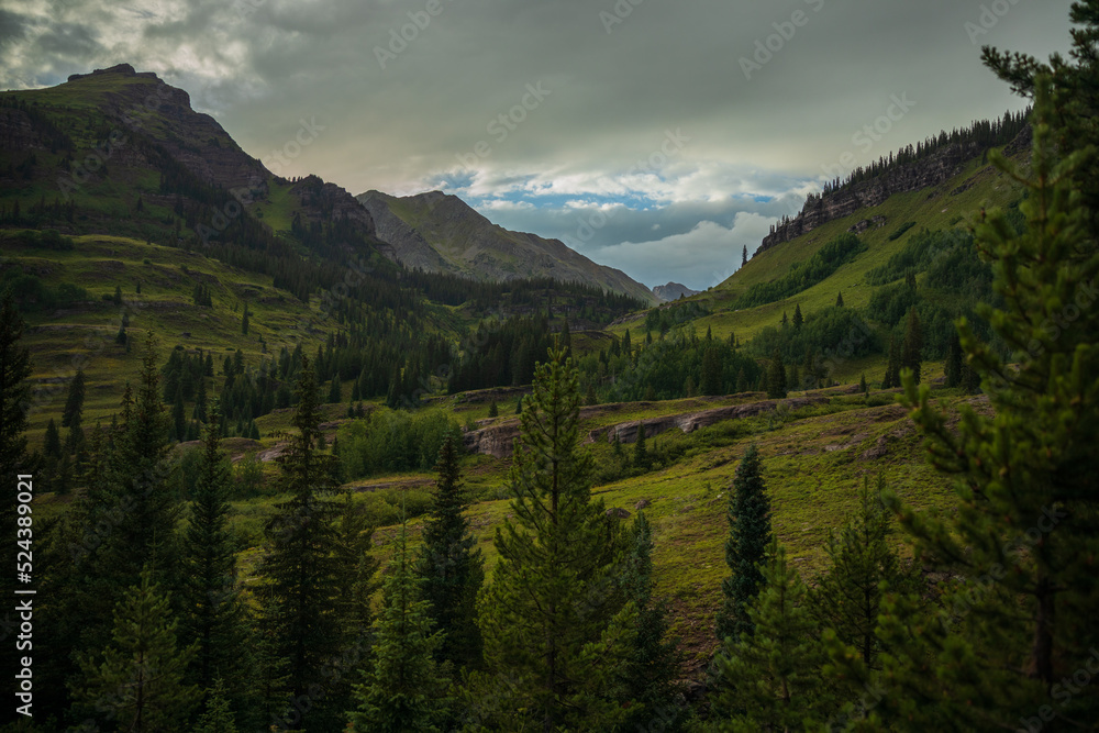 Fototapeta premium Green mountain valley in the forest at twilight