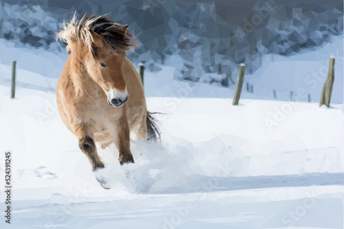 Haflinger horse rages through the snow.  Snow-covered paddock.  Vector in low poly style.