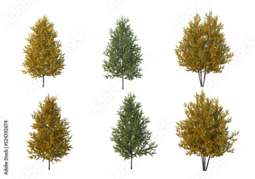 Multicolored leafy tree on transparent background