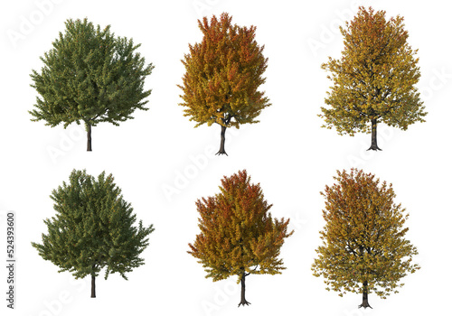Multicolored leafy tree on transparent background