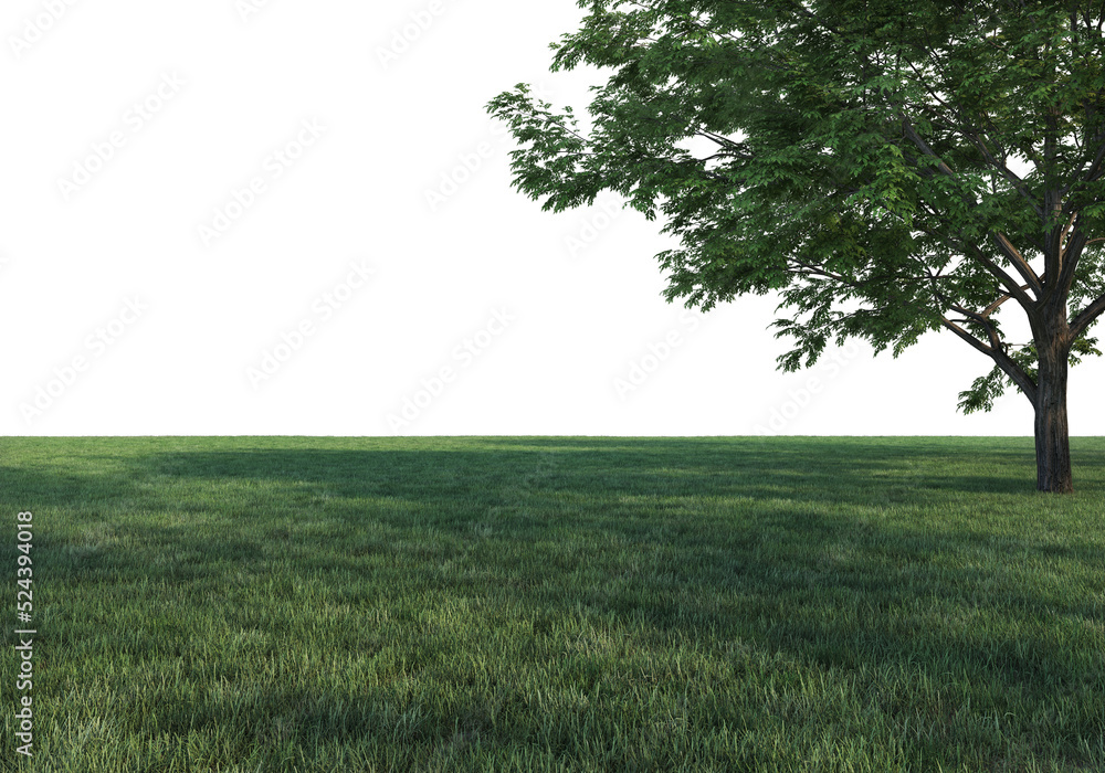Fototapeta premium Lawns and trees on a transparent background 
