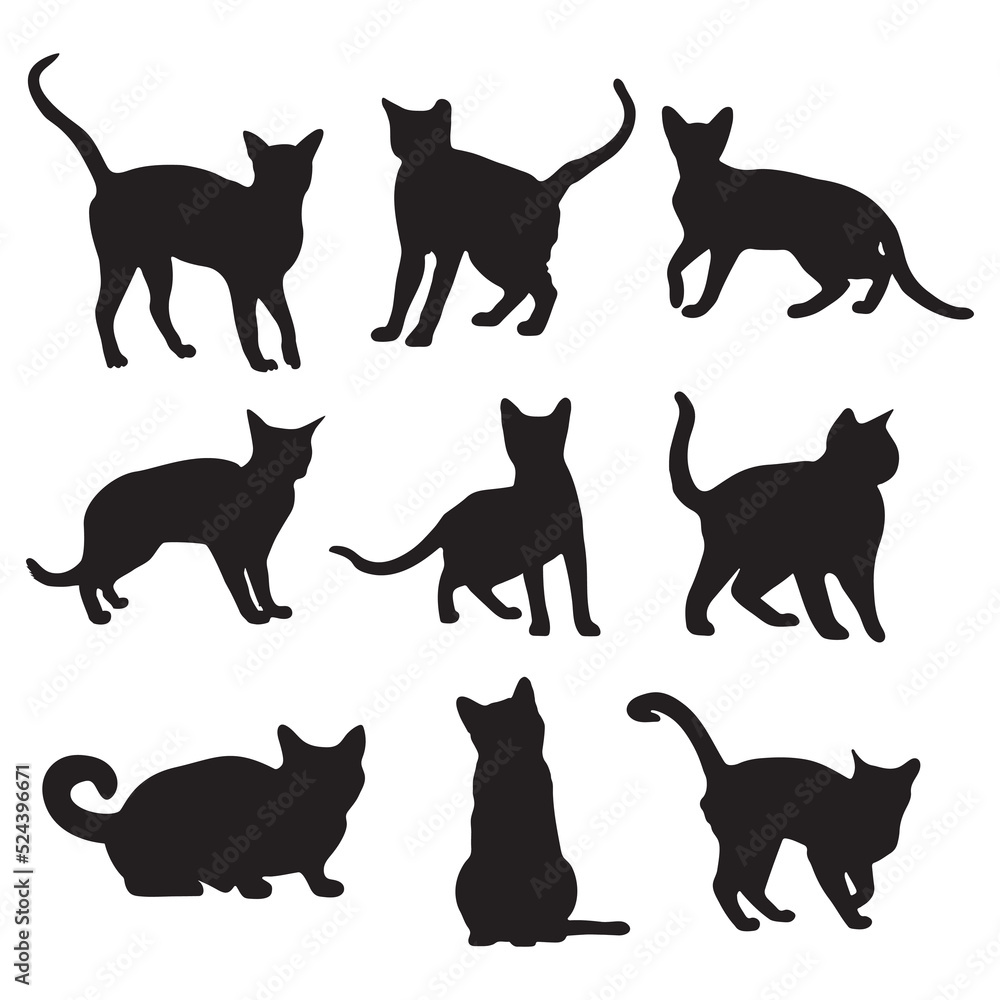 Cats set silhouette On White Background