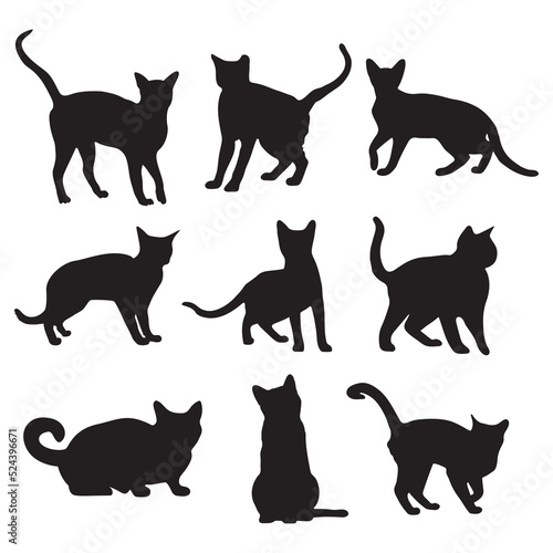 Fototapeta Naklejka Na Ścianę i Meble -  Cats set silhouette On White Background