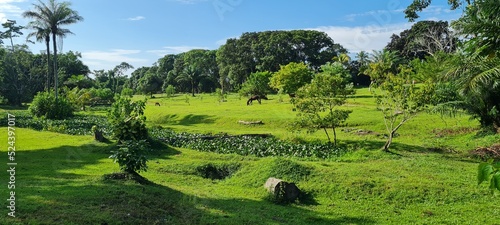 A natural beauty from Libreville, Gabon