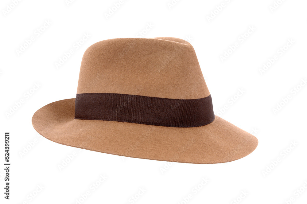 Classic brown Fedora hat isolated transparent background photo PNG file - obrazy, fototapety, plakaty 