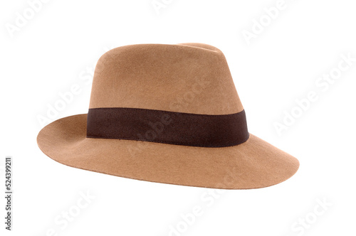 Classic brown Fedora hat isolated transparent background photo PNG file photo