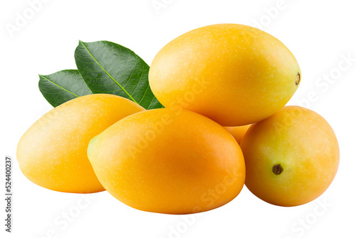 Sweet Marian plum fruit isolated on alpha background.