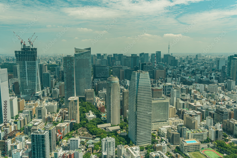 Fototapeta premium 高層ビルからの風景