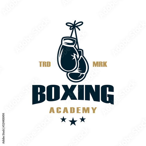 vintage logo boxing vector template illustration