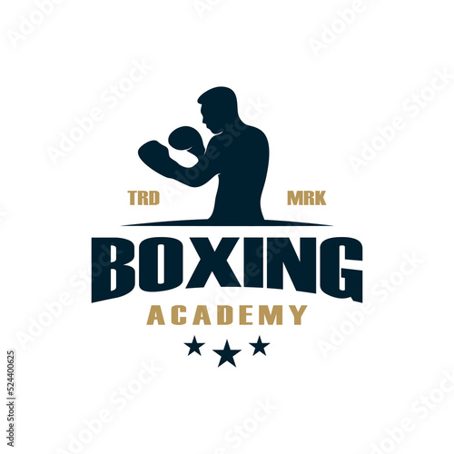 vintage logo boxing vector template illustration