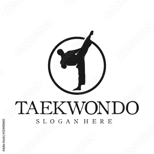 vintage logo taekwondo vector template illustration
