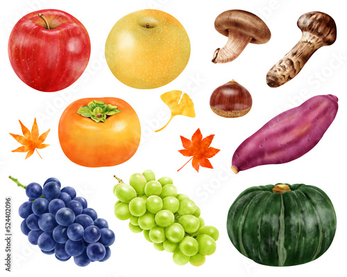 水彩イラスト  秋の味覚セット