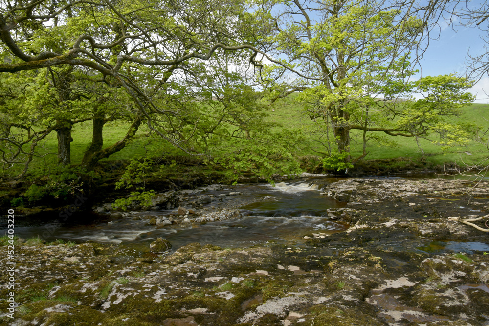 Path beside River Wharfe in Langstrothdale Path beside River Wharfe in Langstrothdale