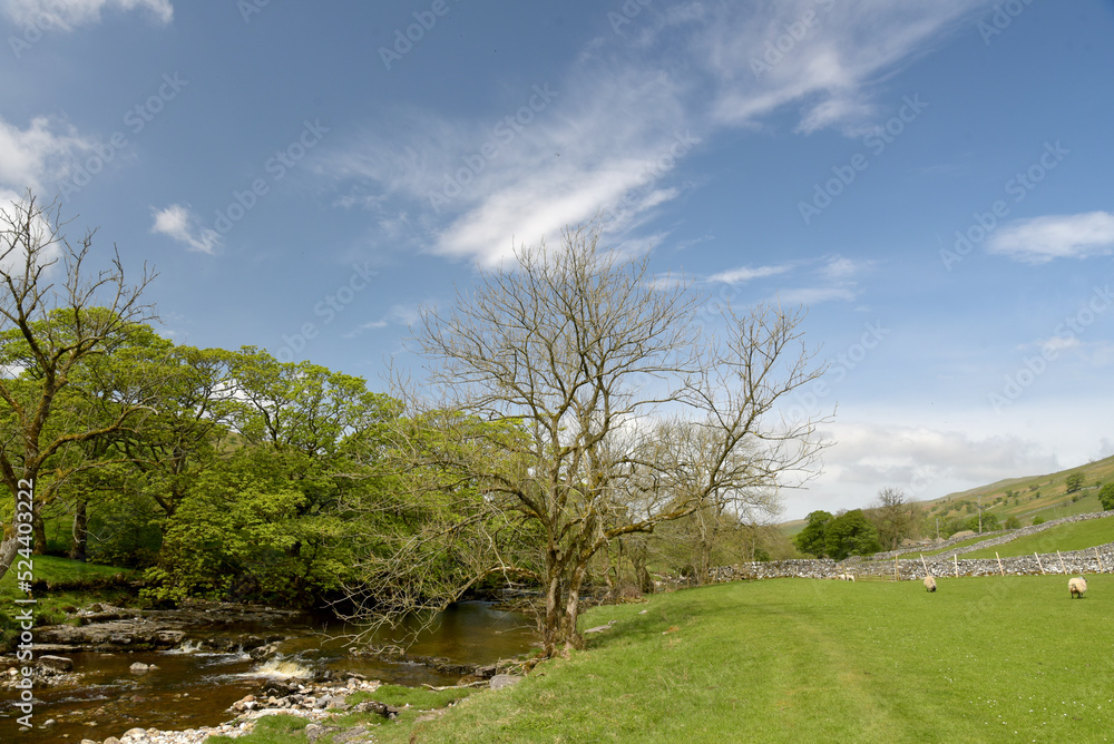 Path beside River Wharfe in Langstrothdale Path beside River Wharfe in Langstrothdale