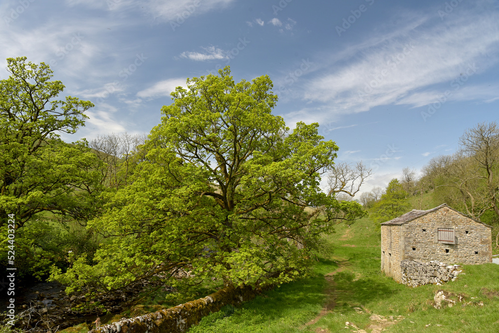 Path beside River Wharfe in Langstrothdale