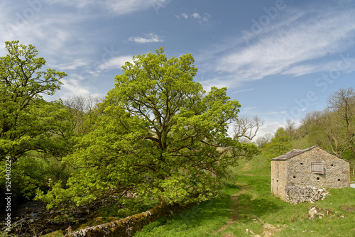 Obraz na płótnie Path beside River Wharfe in Langstrothdale w salonie