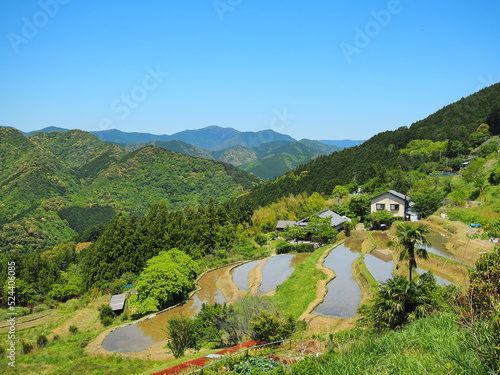 村を見下ろす風景