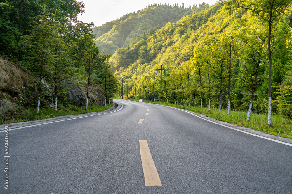 High asphalt road in the forest