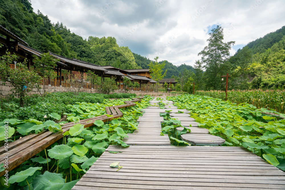 Lotus pond and ancient buildings in the park Lotus pond and ancient buildings in the park