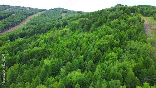 Ski slopes in summer. Aerial photography. Taken in the early morning by a drone at the Holdomi ski base.  The Far Eastern region of Russia.  photo